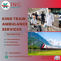 King Allows the Entire Trip to be Composed Right on Time in a Kolkata Train Ambulance - 1