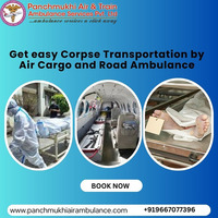 Panchmukhi Helps Carry the Load of a Dead Body in Vellore in an Ambulance - 1