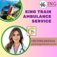 King Ensures You Don’t Have to Confront Chaos in Siliguri in a Train Ambulance - 1