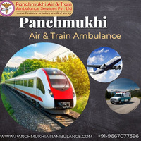 Panchmukhi has firmly committed to providing reliable transit services in Delhi - 1