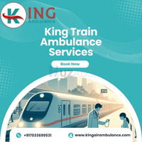 King Doesn't Waste Time While in Transit in Bangalore in its Train Ambulance