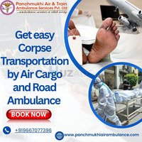 Panchmukhi is Dependable and Clear When Taking the Transit in Delhi by Air Cargo