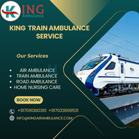 Use the best and reliable King Train Ambulance service in Nagpur for patient transfer - 1