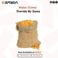Maize (Corn) | ZAREA