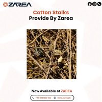 Cotton Stalks Available at | ZAREA |