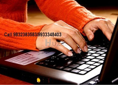 Online Data Entry Job