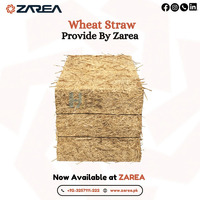 Wheat Straw | Purchase from Zarea Limited