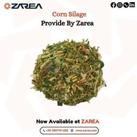 Buy Corn Silage - Online on Zarea Limited