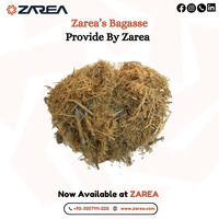 Buy Bagasse Online on Zarea