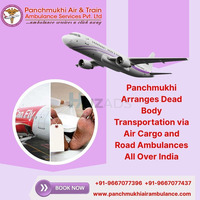 Panchmukhi Mortuary Box Transportation in Siliguri- mortal remains