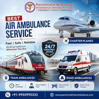 Panchmukhi Air Ambulance in Thiruvananthapuram is considered a one-stop relocation solution - 1