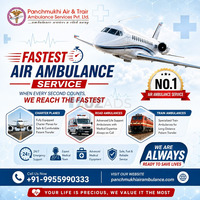 Panchmukhi Air Ambulance in Chennai is your perfect partner during medical emergencies - 1