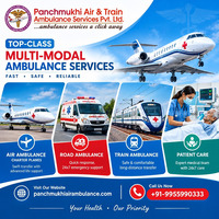 Panchmukhi Low Cost Air Ambulance in Delhi - cost is not out of budget